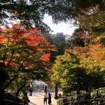 ツイートに含まれる画像