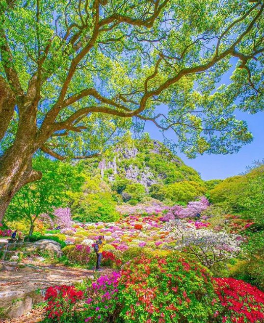 Anastasia45109's tweet photo. #naturelovers https://t.co/HBB2qRTYor