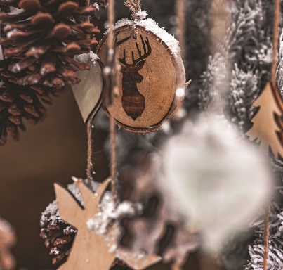 ALTEC CCSTI de l'Ain tweet media