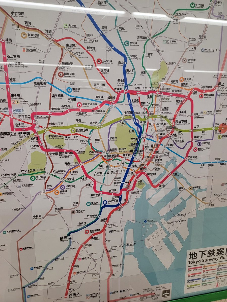 東京ごちゃごちゃやないかい
