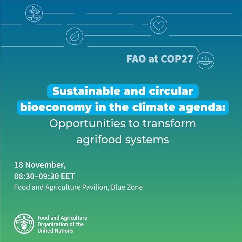 Join the @FAO side event on “Sustainable and circular #bioeconomy in the climate agenda: Opportunities to transform #agrifood systems” 📍 Food & Agriculture Pavilion 📆 18 November 🕗 08.30-09.30 EET ▶️ bityl.co/FgBr #FAOatCOP27 #FoodAgPavilion