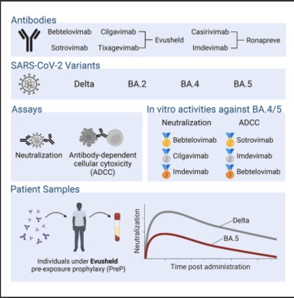 Olivier Schwartz Lab (@virus_immunity) on Twitter photo Check out our work on efficacy of approved mAbs. congrats to <a href="/Timothee_B/">Timothée Bruel</a> and wonderful collaborators Longitudinal analysis of serum neutralization of SARS-CoV-2 Omicron BA.2, BA.4 and BA.5 in patients receiving monoclonal antibodies cell.com/cell-reports-m… Check out our work on efficacy of approved mAbs. congrats to <a href="/Timothee_B/">Timothée Bruel</a> and wonderful collaborators Longitudinal analysis of serum neutralization of SARS-CoV-2 Omicron BA.2, BA.4 and BA.5 in patients receiving monoclonal antibodies cell.com/cell-reports-m…