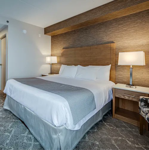 Monte Carlo Inns tweet media