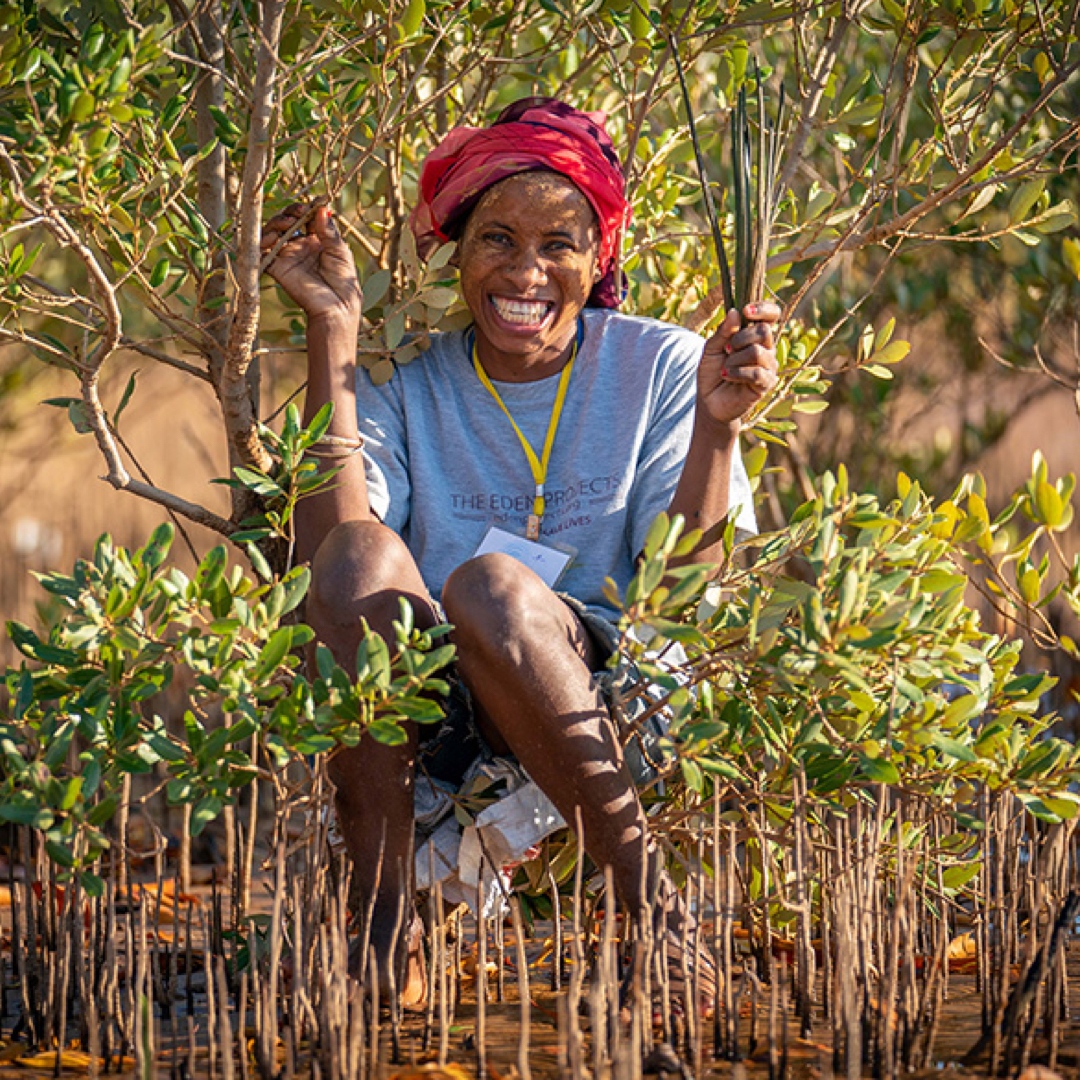 Letterfest tweet media