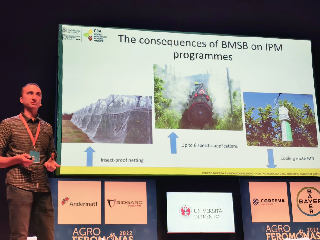🗣️Gianfranco Anfora. Profesor Asociado, Universidad de Trento explica la experiencia del #Controlbiológico en Italia con ejemplos de parasitoides para el control de chinches en #frutas como manzana 🍏 y pera 🍐

<a href="/agroferomonas/">Agroferomonas</a>

#agricultura
#frutales