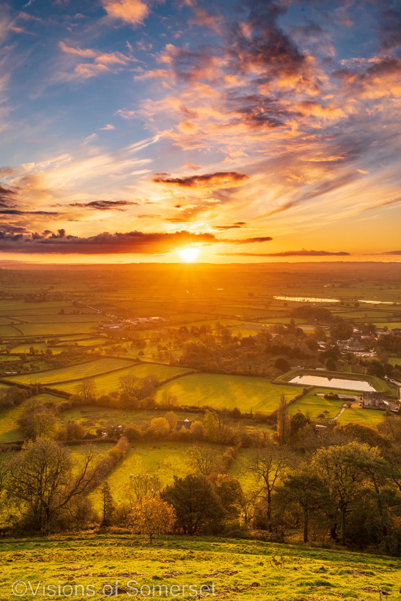 Michelle Cowbourne tweet media