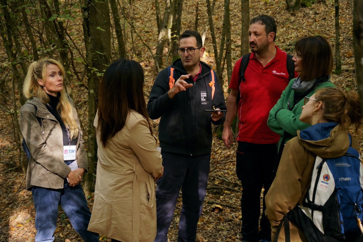 Continua l’impegno di <a href="/TIM_Official/">TIM Official</a> insieme a Rete Clima per la tutela della #biodiversità forestale. 🌳🌱 L'azienda supporta interventi per favorire lo sviluppo 
di specie arboree di pregio nella Foresta di Città della Pieve-Piegaro (Umbria).
#EnvironmentalSustainability