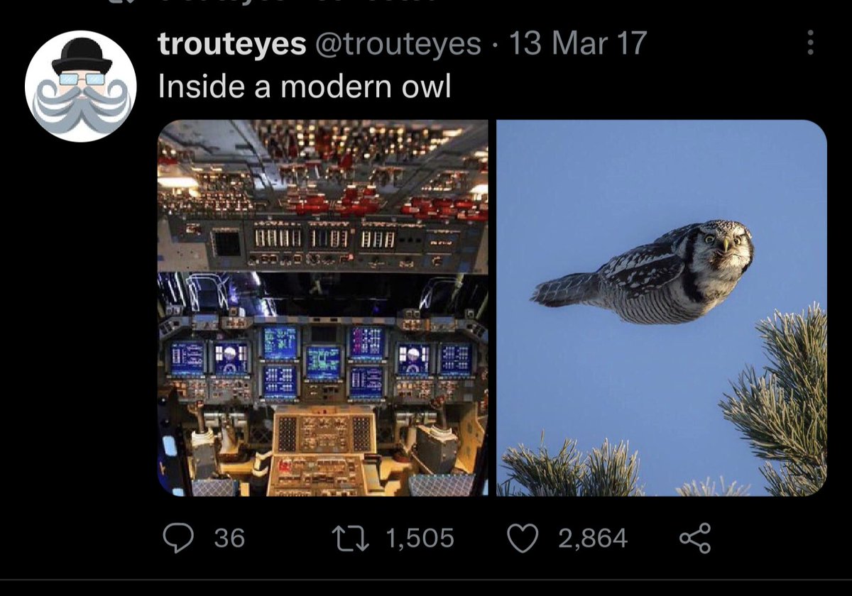I like this tweet from @trouteyes because although it's partly a 'modern'  joke it also acknowledges the complexity of wildlife that is often overlooked.   Bees are a classic example of this.