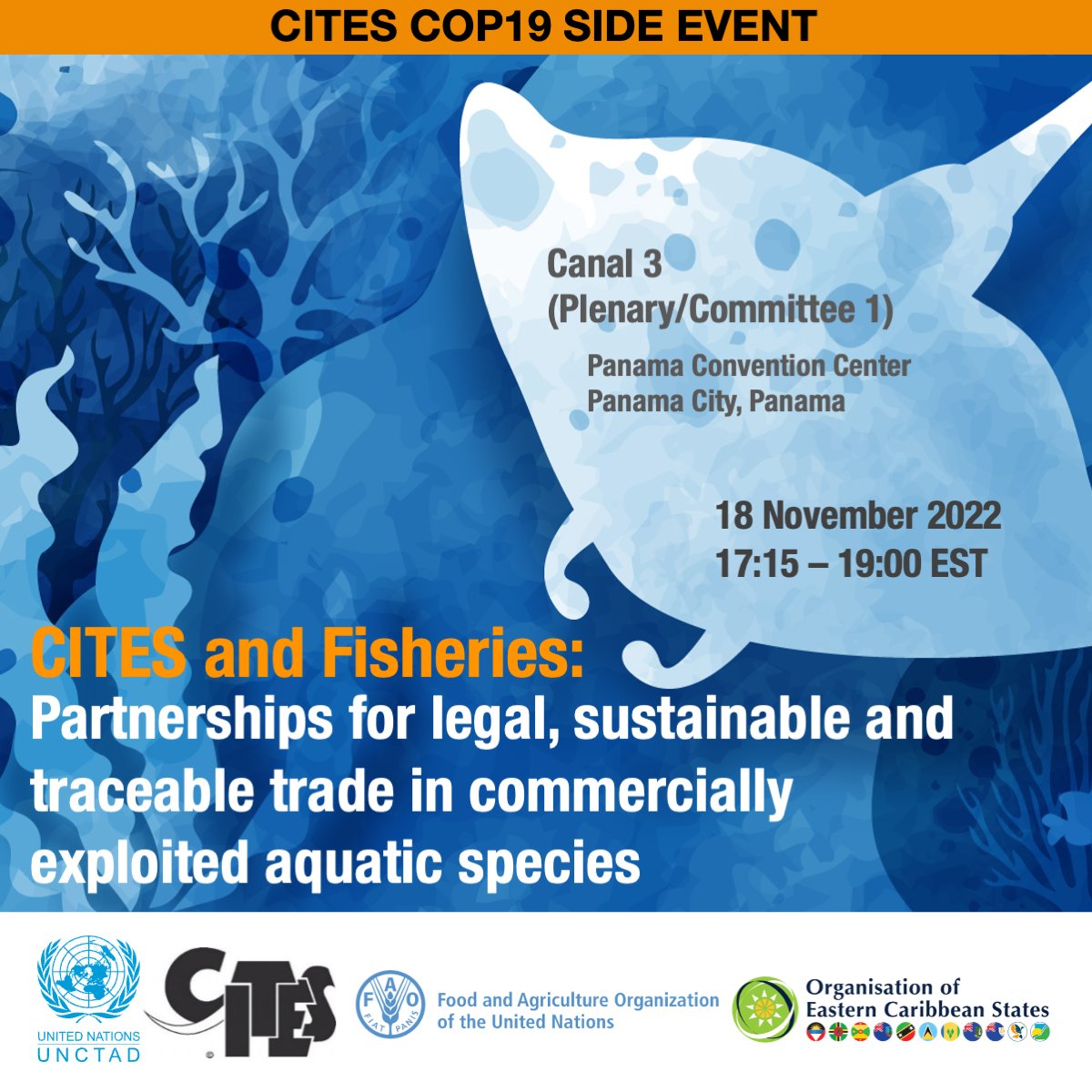 UNCTAD_OceanEco's tweet photo. Partnerships to deliver on the sustainable use of #ocean &amp; its species can enhance the crucial role of social &amp; economic incentives from sustainable, legal &amp; traceable use of biodiversity. @UNCTAD is @CITES #CoP19 to show how #BlueBioTrade achieves this:🔗https://t.co/duSS5cvrsQ https://t.co/dTbjvruVPf