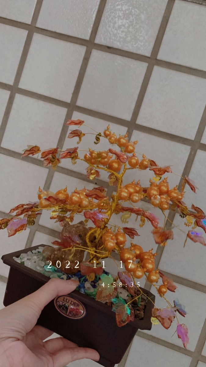 我是不是也有很手巧的時候🤭

不是只會色色讓射射

還會做手工藝🤪 https://t.co/qnXg7bTa7F