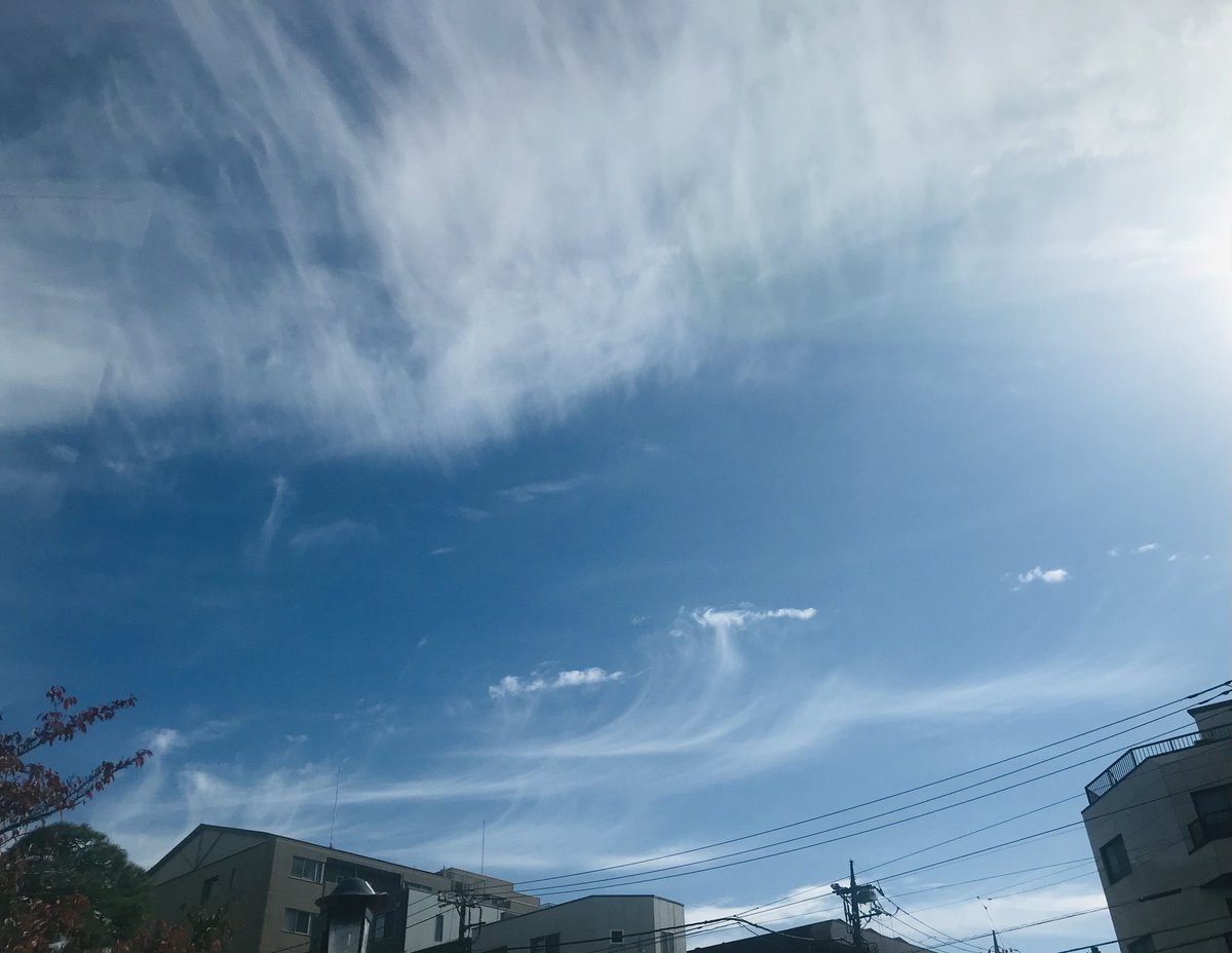 star_field22's tweet photo. こんな雲があるんだ。
と思いながら久しぶりにマサコのコーヒーカップでひと息。
#珍しい雲
#得した気分
#一息
#マサコカップ
#コーヒー https://t.co/rGXSfd44HT