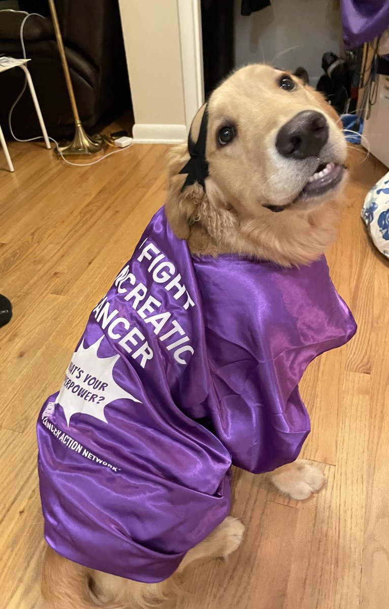 World Pancreatic Cancer day! Support the fight!