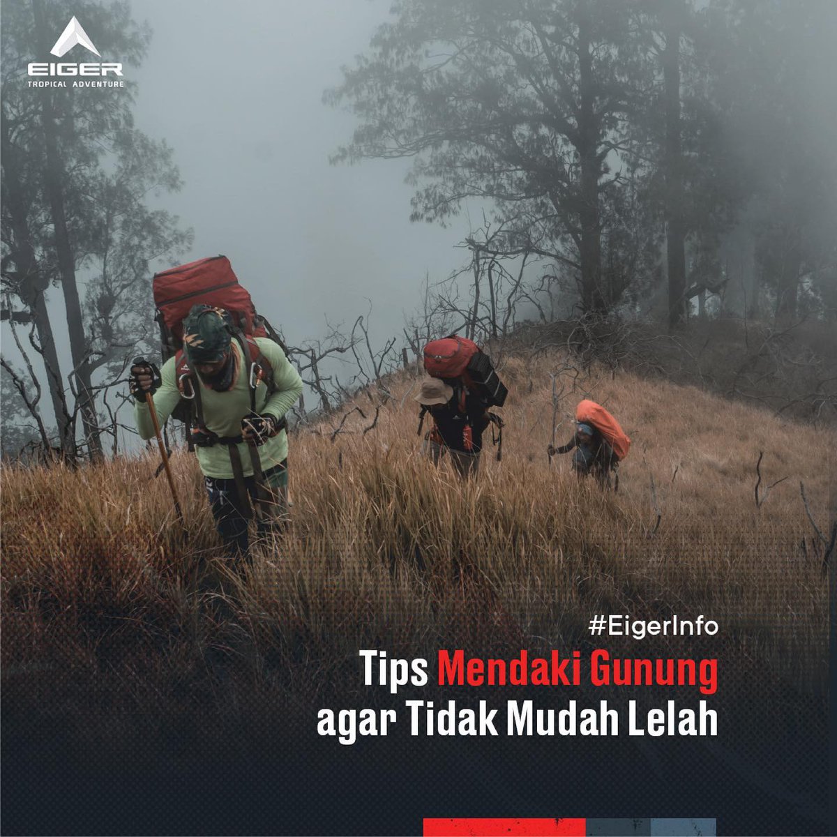 eigeradventure's tweet photo. #EigerTips Mendaki gunung menjadi salah satu aktivitas yang menguras banyak tenaga. Maka itu, kita perlu tahu tips mendaki gunung agar tidak mudah lelah.
Ini dia Tips Mendaki Gunung agar tidak mudah lelah! https://t.co/7N0HMgxPam