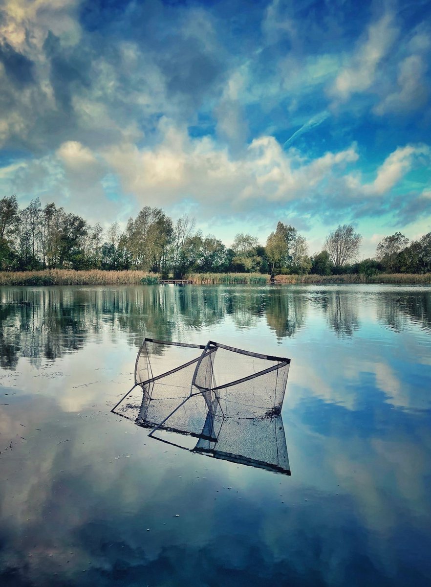 CarpCafe tweet media