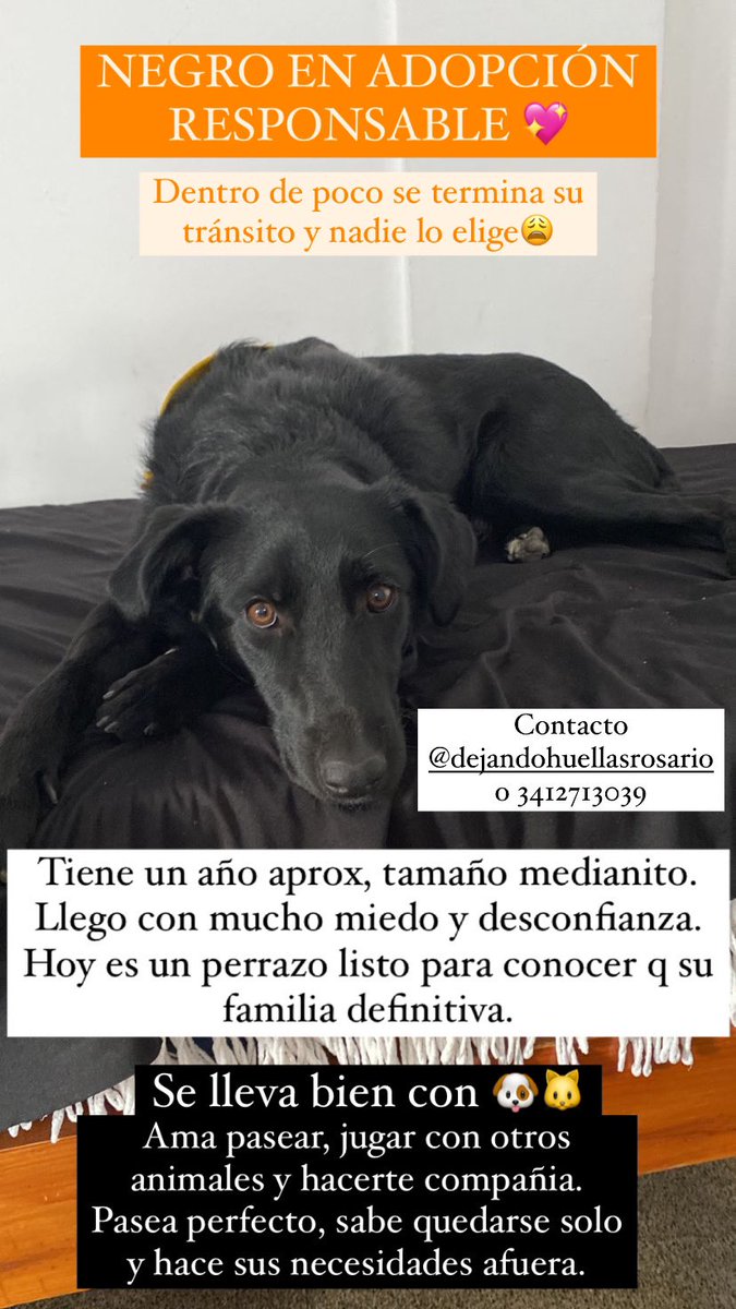 Cata⚡️ tweet media