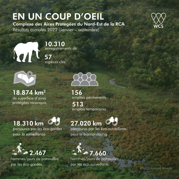 Behind each figure is our team’s commitment to protecting #wildlife and habitats. By accomplishing this mission, we support #localcommunities in strengthening their resilience to #climatechange.
Join #conservation and share this #news.