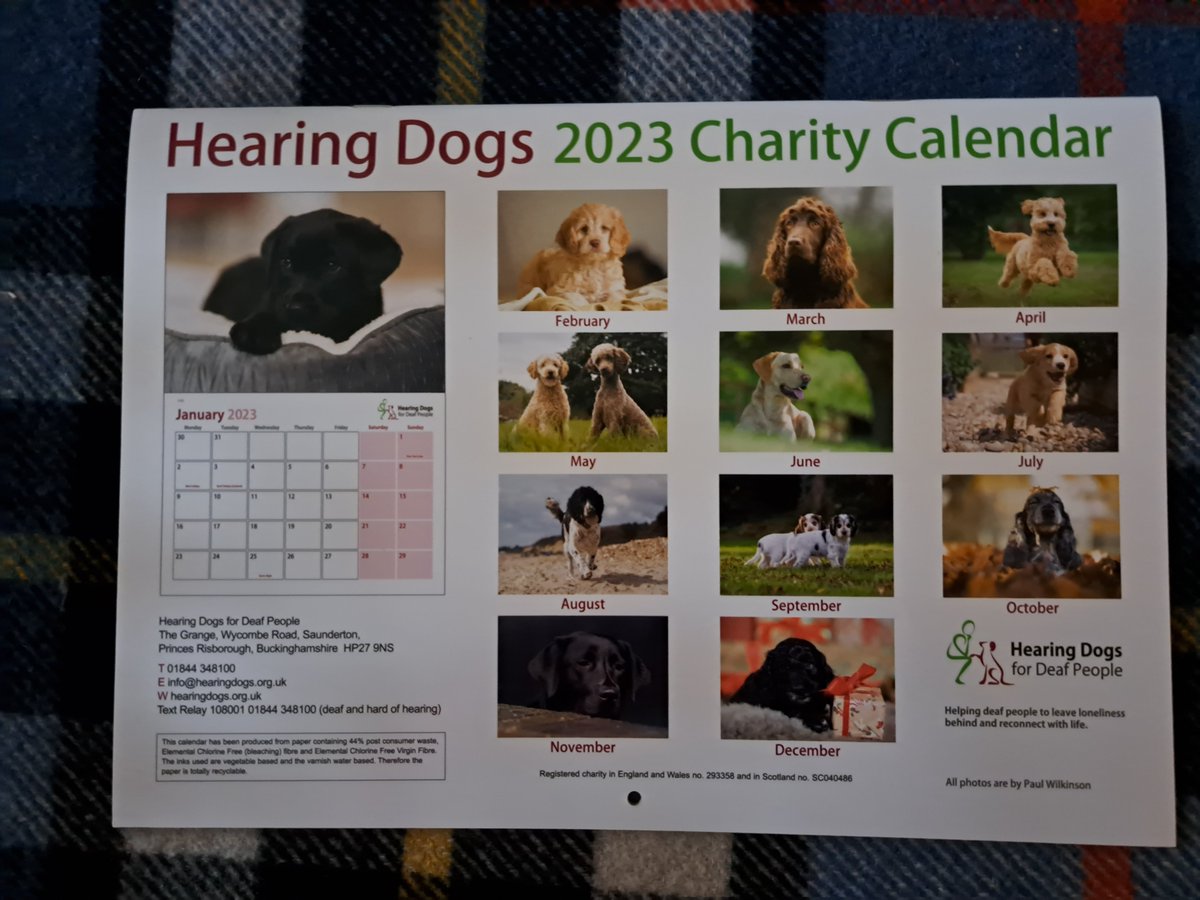 <a href="/Hearingdogpuppy/">Pasha</a> Pasha is proud of his brother Parker who features on the May page of the new @hearingdogs  Calendar. Well done Parker you look very handsome . 🐩🐩👏❤️ If you would like to buy one too follow this link and brighten up every day of 2023
shop.hearingdogs.org.uk/collections/ca…