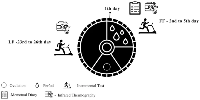Interaction predictors of self-perception menstrual symptoms and influence of the menstrual cycle on physical performance of physically active women. Gabriela de Carvalho et al @usponline #athleticperformance #dysmenorrhea  rdcu.be/cZEOL