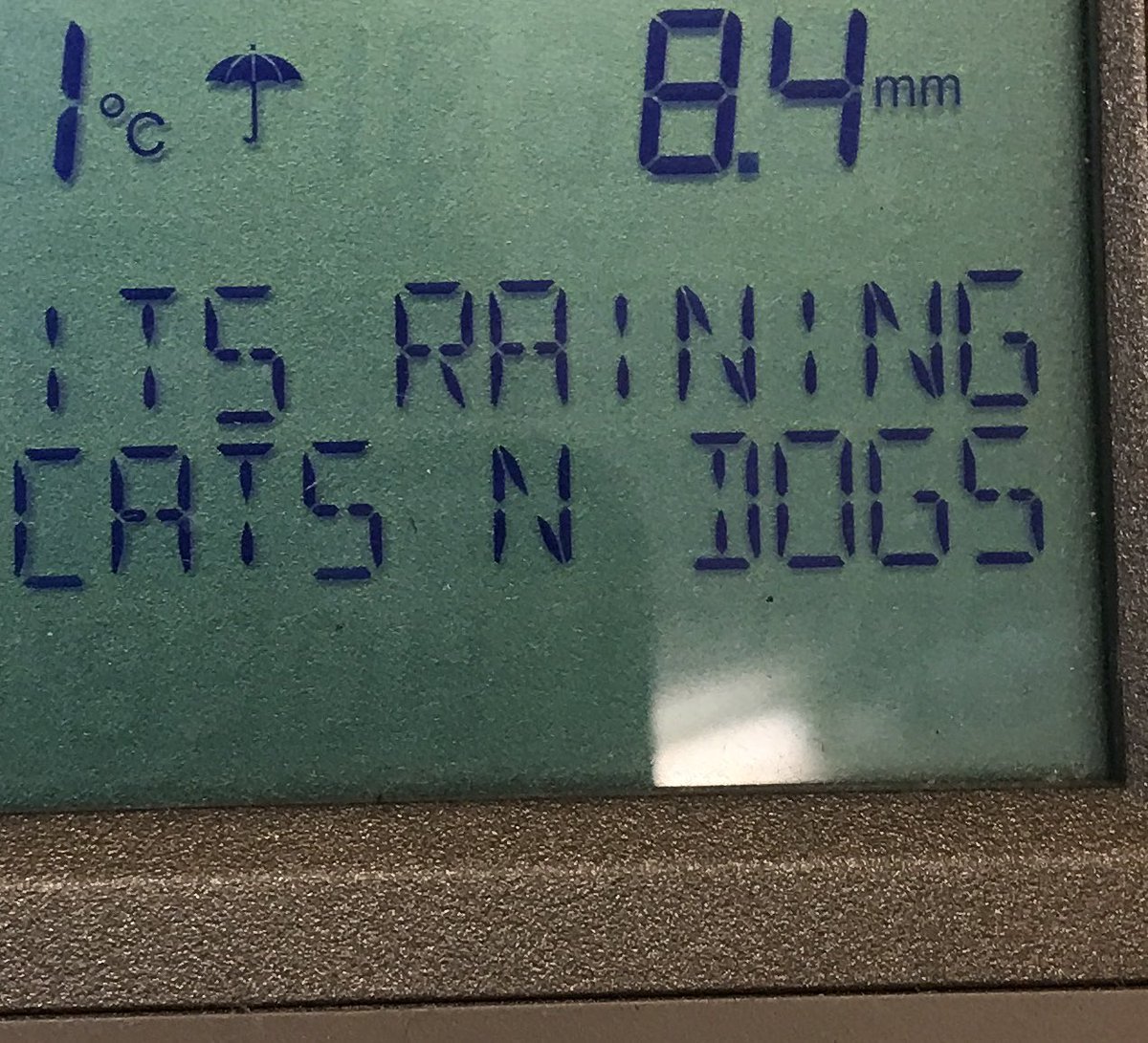 newpasture tweet media