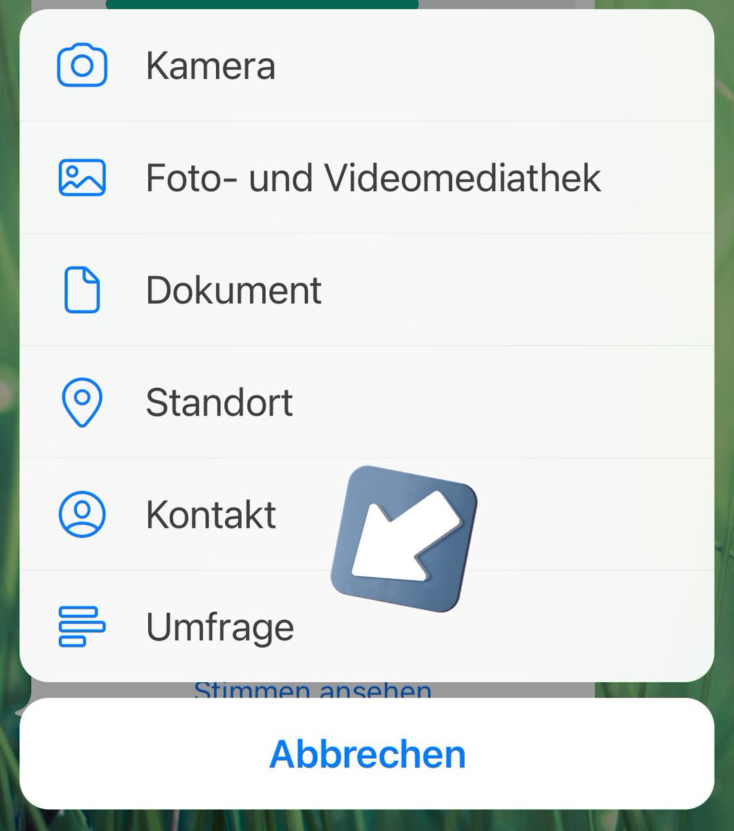 Umfragen bei #WhatsApp - wieso kannte ich diese Funktion vorher nicht?? 😍 Ciao Doodle!!