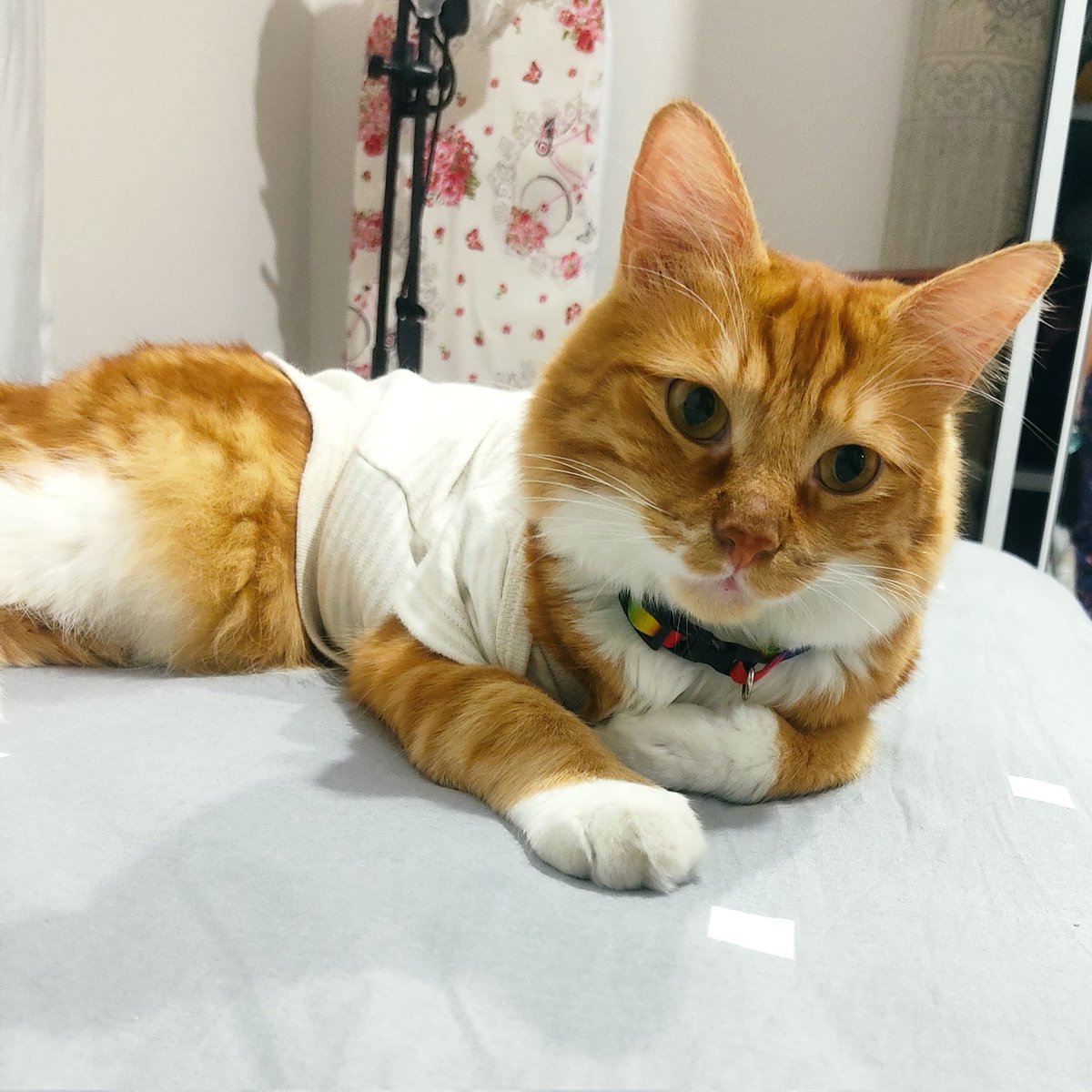 Farkettim de Kavun tweeti atmamışım uzun zamandır buraya. 💛