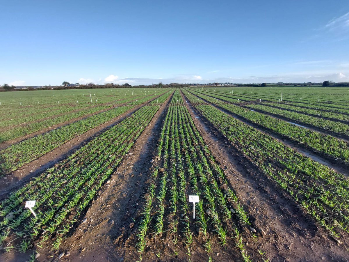 Herbicide and Aphicide trials being sprayed today at the Trial Site!🌱