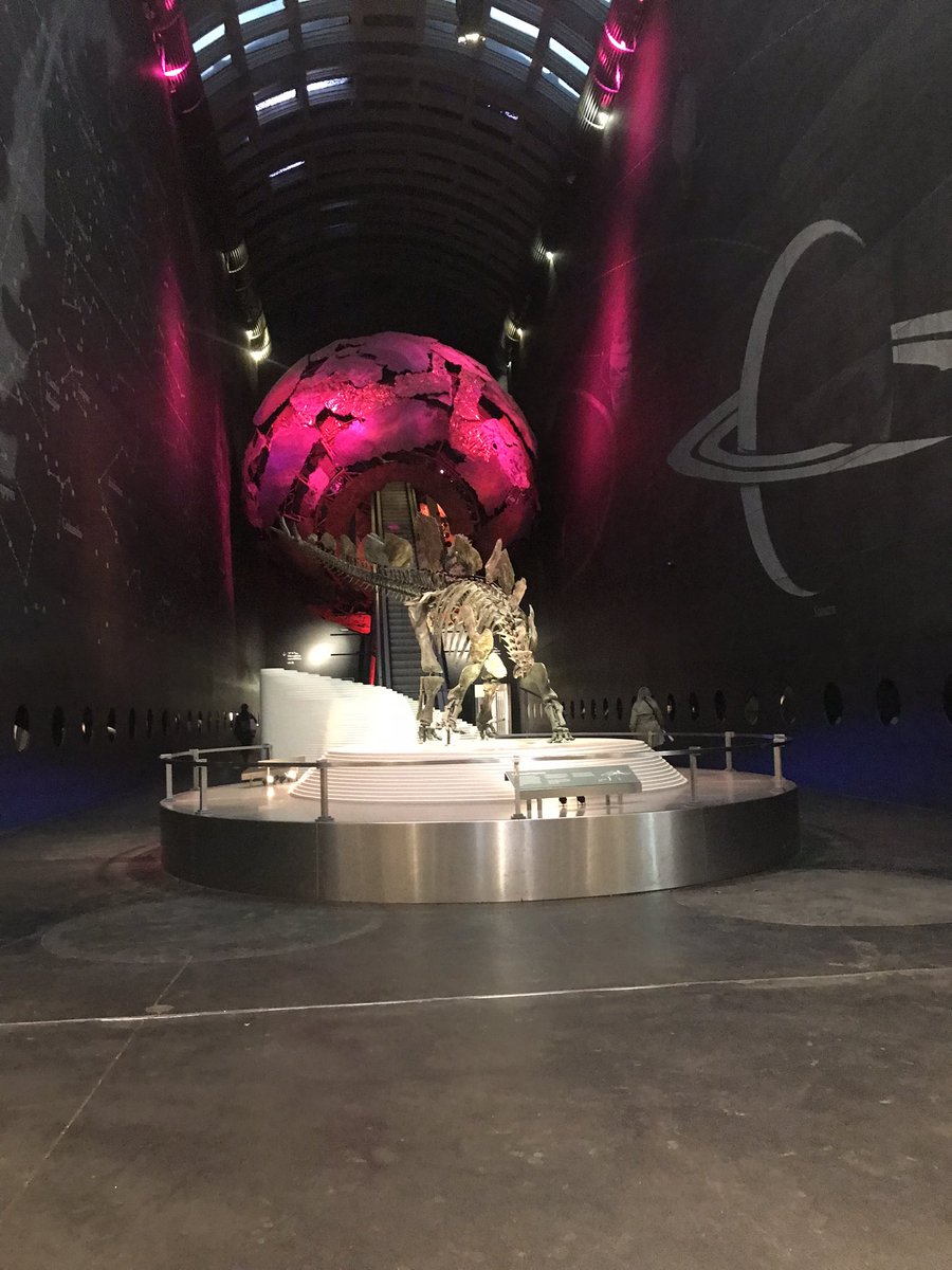 Ready to get started <a href="/MalacSoc/">Malacological Society of London</a> #MolluscanForum at the Natural History Museum!!
Looking forward to talks from the <a href="/UoPMarineBiol/">UoP Marine Biology</a> group
<a href="/Fiona_Woods98/">Fiona Woods</a> 
<a href="/KateDey1/">Kate Dey</a> 
<a href="/monicafabra3/">Monica Fabra</a> 
<a href="/LucyMartincx/">Lucy Martin</a> 
<a href="/lauren_colours/">Lauren Cook</a>