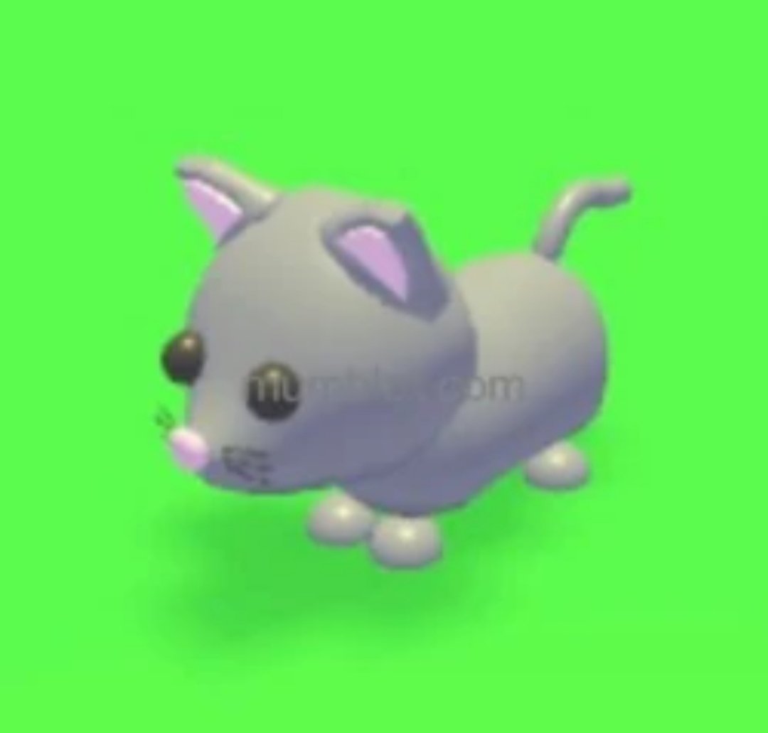 Kikistar11111's tweet photo. One pet has to be deleted 😭
Wich one?
Low value pets edition ✨ https://t.co/bxfIomRRfL