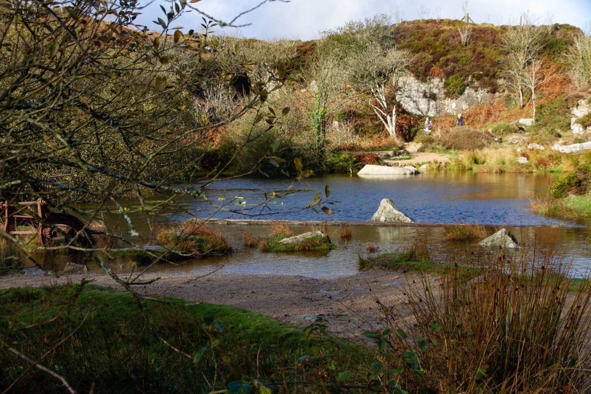 Dartmoor National Park tweet media