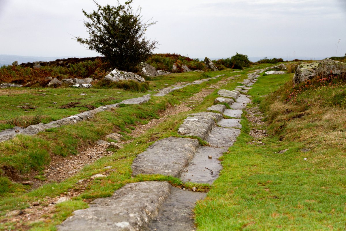 Dartmoor National Park tweet media