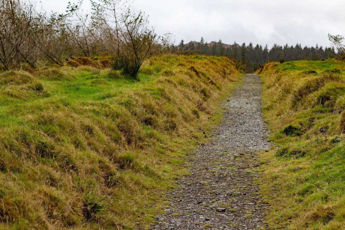 Dartmoor National Park tweet media