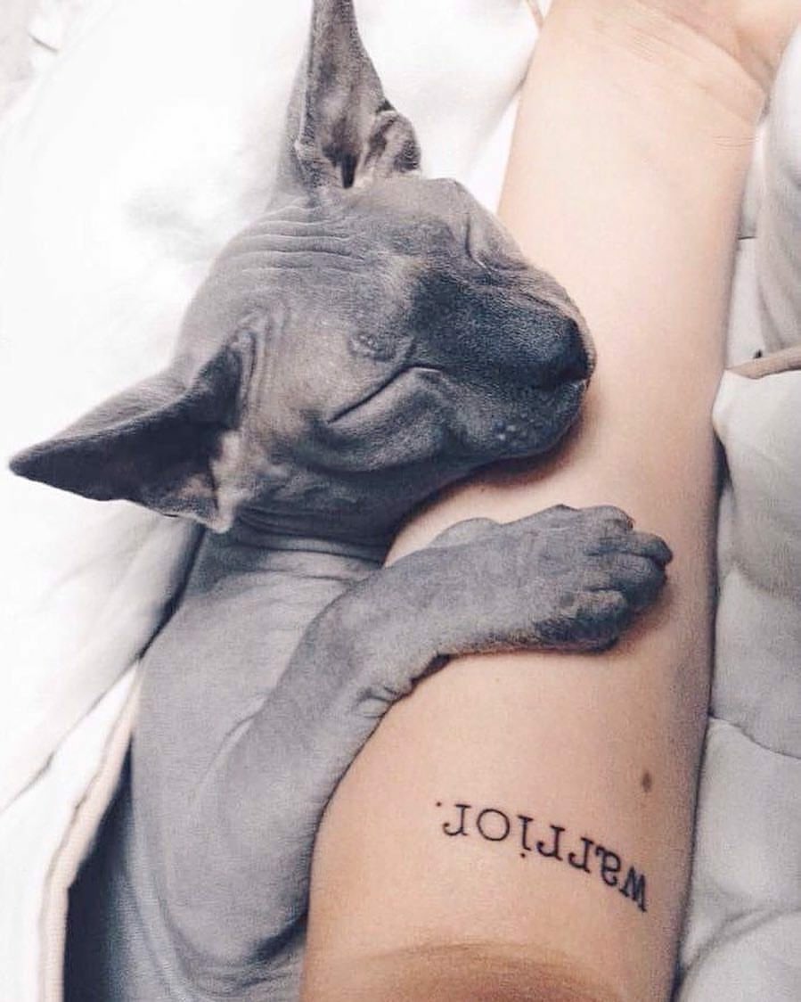 fntj_vdb's tweet photo. 🤍RIP MY LITTLE WARRIOR🤍
The most beautiful soul I ever got to meet. I’ll miss you 💔 https://t.co/aEgqrdhyV1