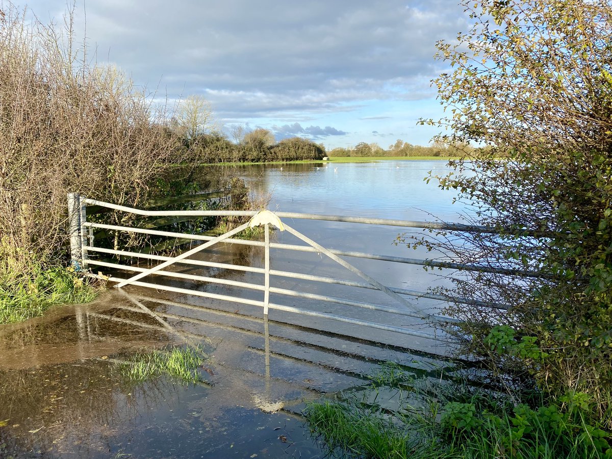 73cath's tweet photo. The #flood plains are doing their job in Sturminster Marshall but the river levels are still rising #WhiteMill #RiverStour @BBCSouthWeather @NTKingstonLacy https://t.co/vLB3sDJudl