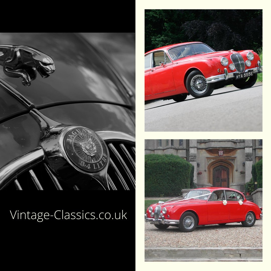 When life gives you lemons bin them and drive a Jaguar instead