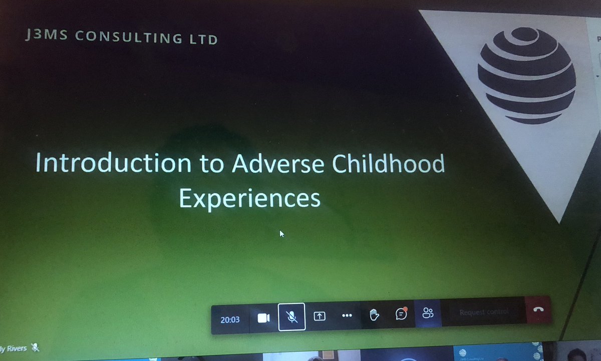 Our session with <a href="/J3msConsulting/">J3MS Consulting Ltd</a> on Trauma + Adverse Childhood Experiences has begun  

The session is for professionals working with young people in Enfield and Haringey funded by the <a href="/MayorofLondon/">Mayor of London, Sadiq Khan</a>
