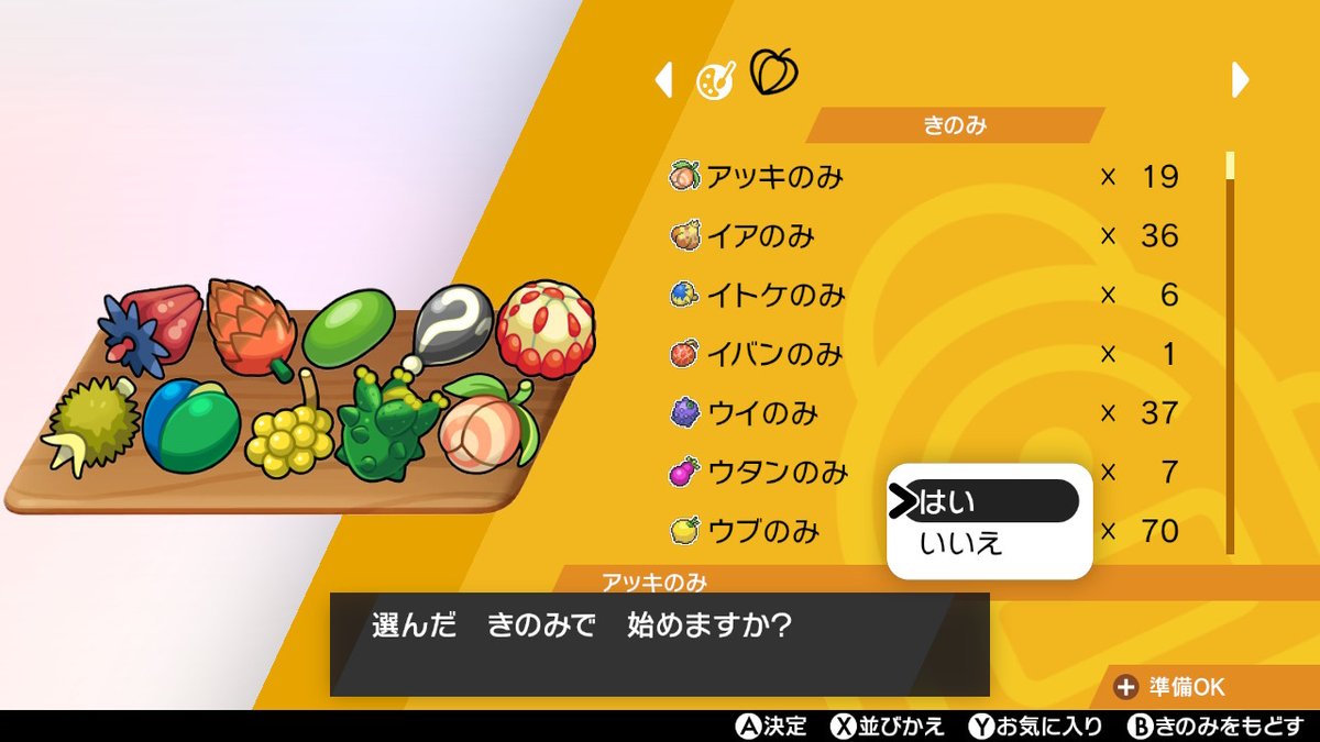 Rayleigh_s's tweet photo. みんな今までありがとうね。最後はなけなしの木の実でキョダイマックスカレー！また戻ってくるね！ #ポケモン剣盾 #NintendoSwitch https://t.co/iyAO7BYoey