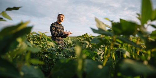 OntwikkelC's tweet image. Het Ontwikkelcentrum gaat verder als De Groene Wereld. Al bijna 30 jaar spelen we een belangrijke rol bij de ontwikkeling van leermiddelen voor de groene sector. Voor het vmbo, mbo en cursus- en contractonderwijs. Volg ons vanaf nu op LinkedIn en Instagram!