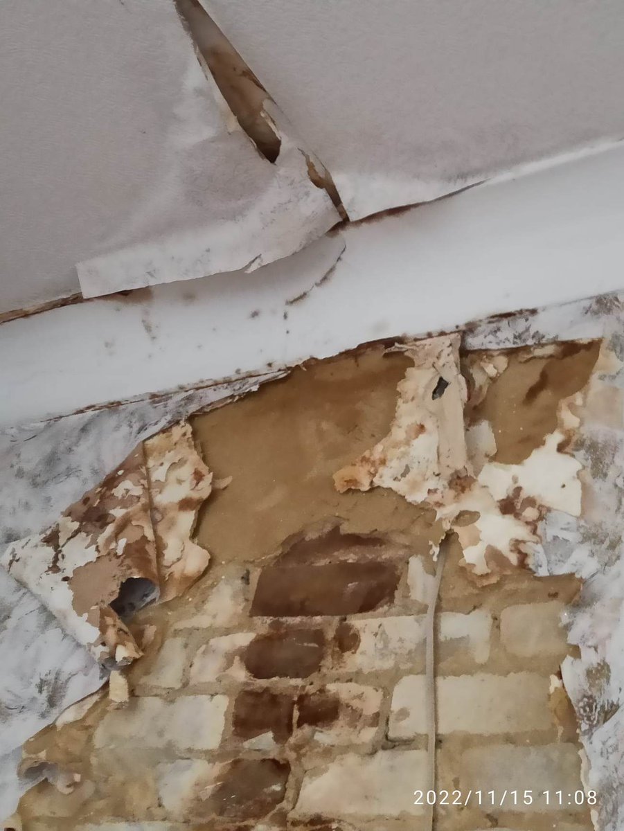 guillaume_ptak's tweet photo. Twitter, I need your help again: my friend Elena and her 5 yo son have returned to Slovyansk, in Donbas, and found their house damaged by Russian shelling. Elena has lost her job &amp; is unable to pay for the repairs. If you can help, here is her Paypal: rudobelets.v.m@gmail.com https://t.co/tTRhqPGmUY