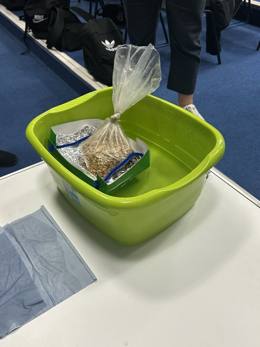 MissLaingBBHH's tweet photo. Yes it did!!! πͺπΌ well done team!! ππ€β΅οΈ
@Mrs_H_STEM
#STEMChallengeday
#BannockburnSTEM https://t.co/fX3VFAdxtb