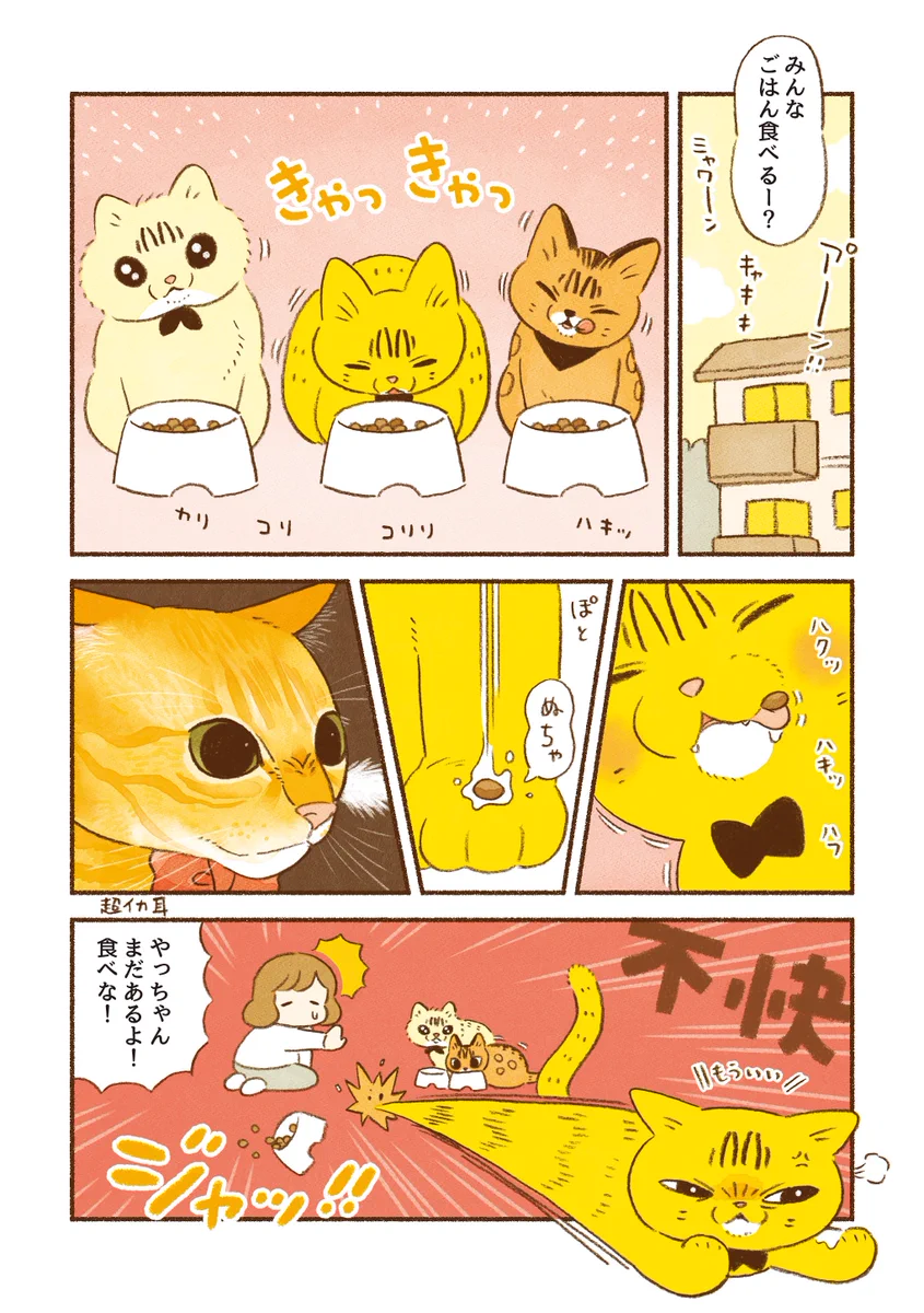 それぞれのこだわりの食べ方がある？！可愛すぎる猫漫画が話題に！