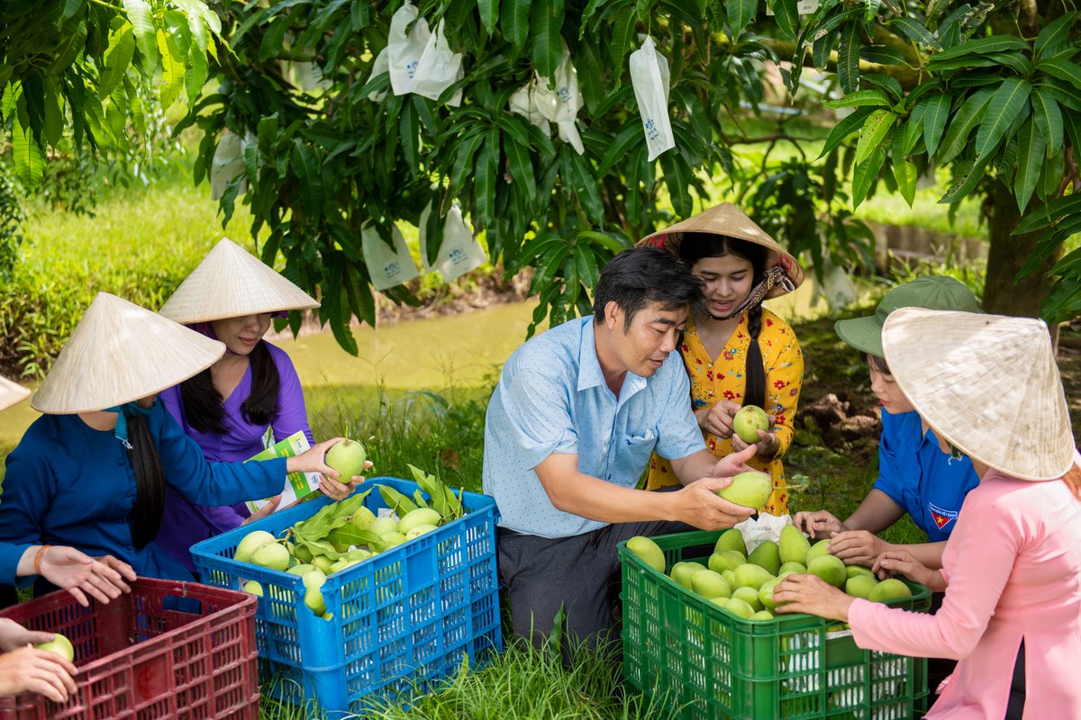 GQSP Vietnam tweet media