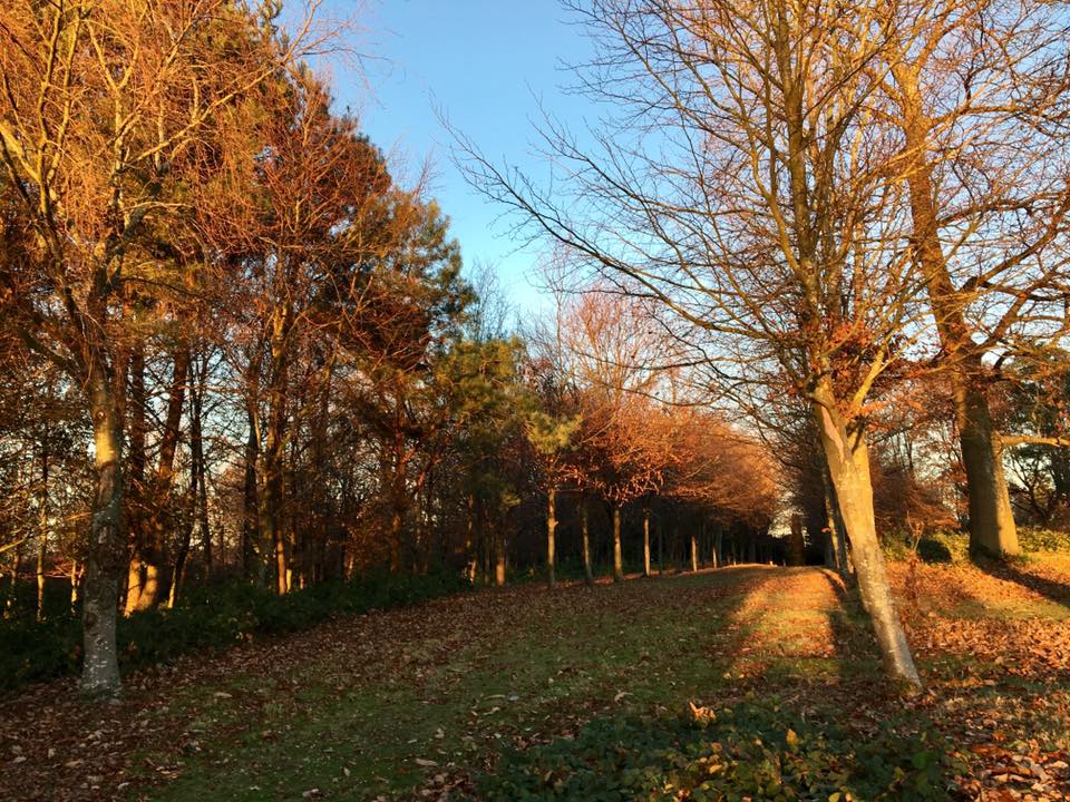 DeepdeneTrail's tweet image. Golden hour! 🤩

Look at the gorgeous sun over #TheDeepdeneTrail

#MoleValley #Dorking #Nature
