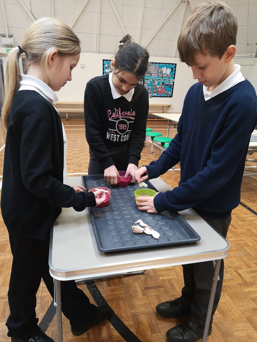 HandfordHallPS's tweet image. Testing, experimenting, discussing
#year6
#fabscience