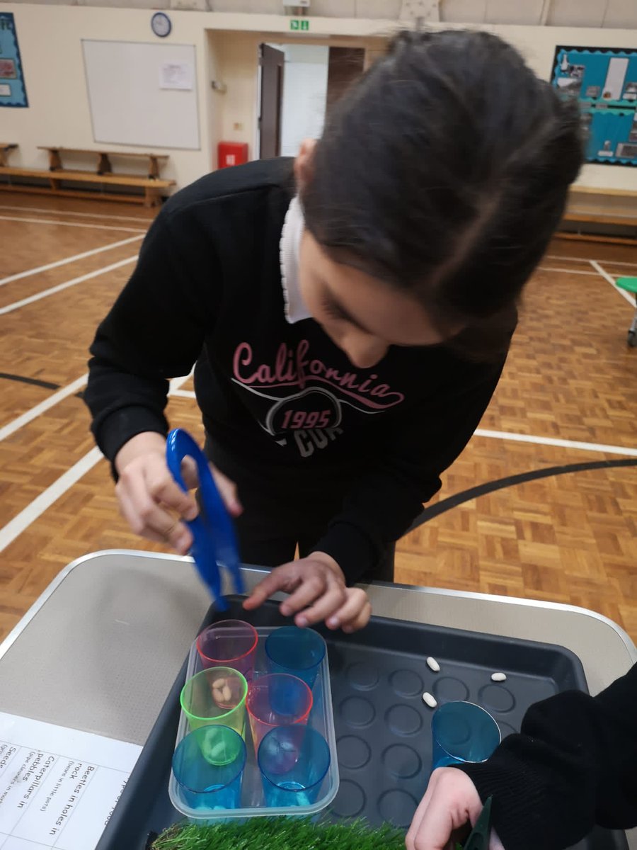 HandfordHallPS's tweet image. Testing, experimenting, discussing
#year6
#fabscience