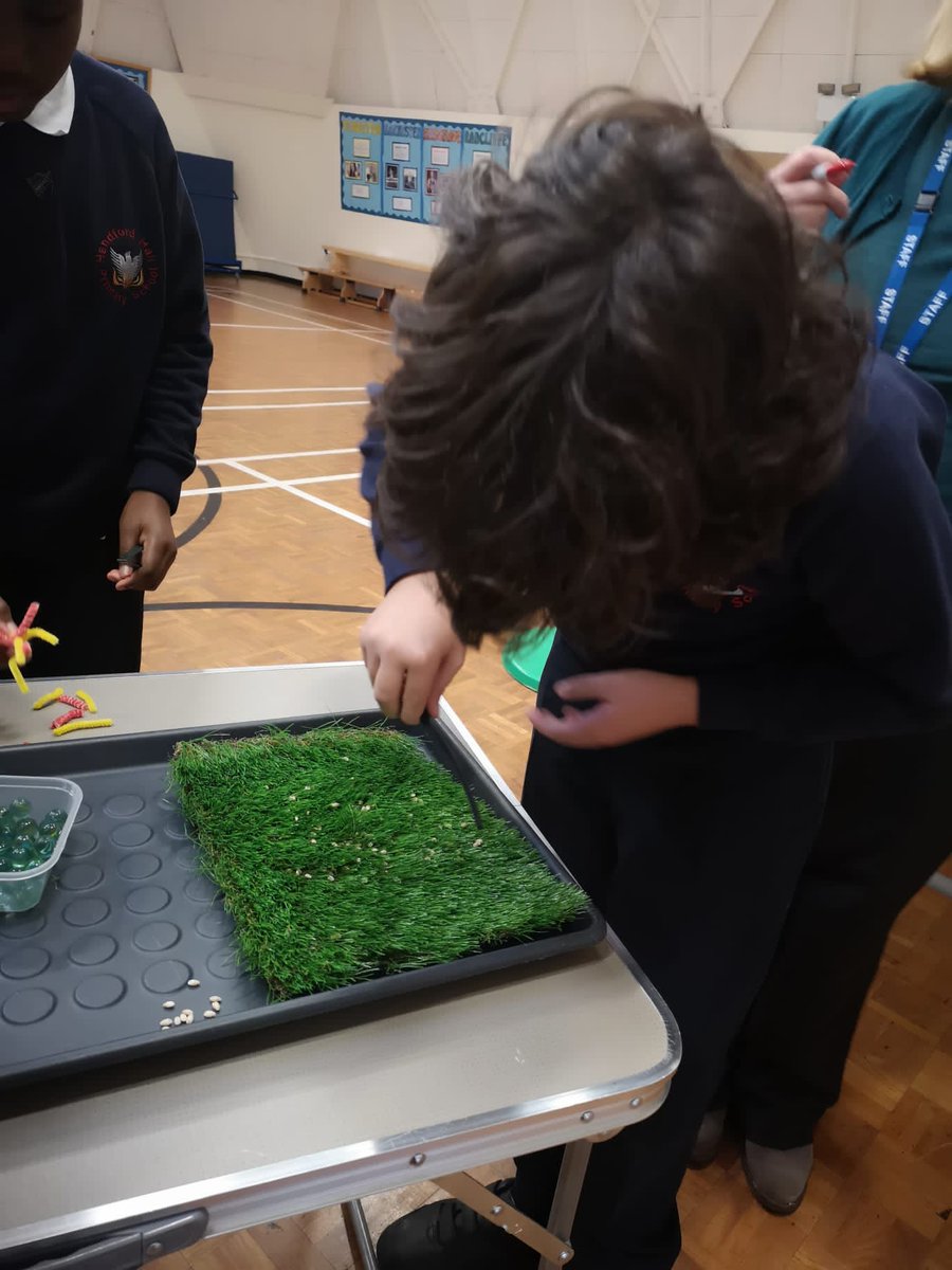 HandfordHallPS's tweet image. Testing, experimenting, discussing
#year6
#fabscience