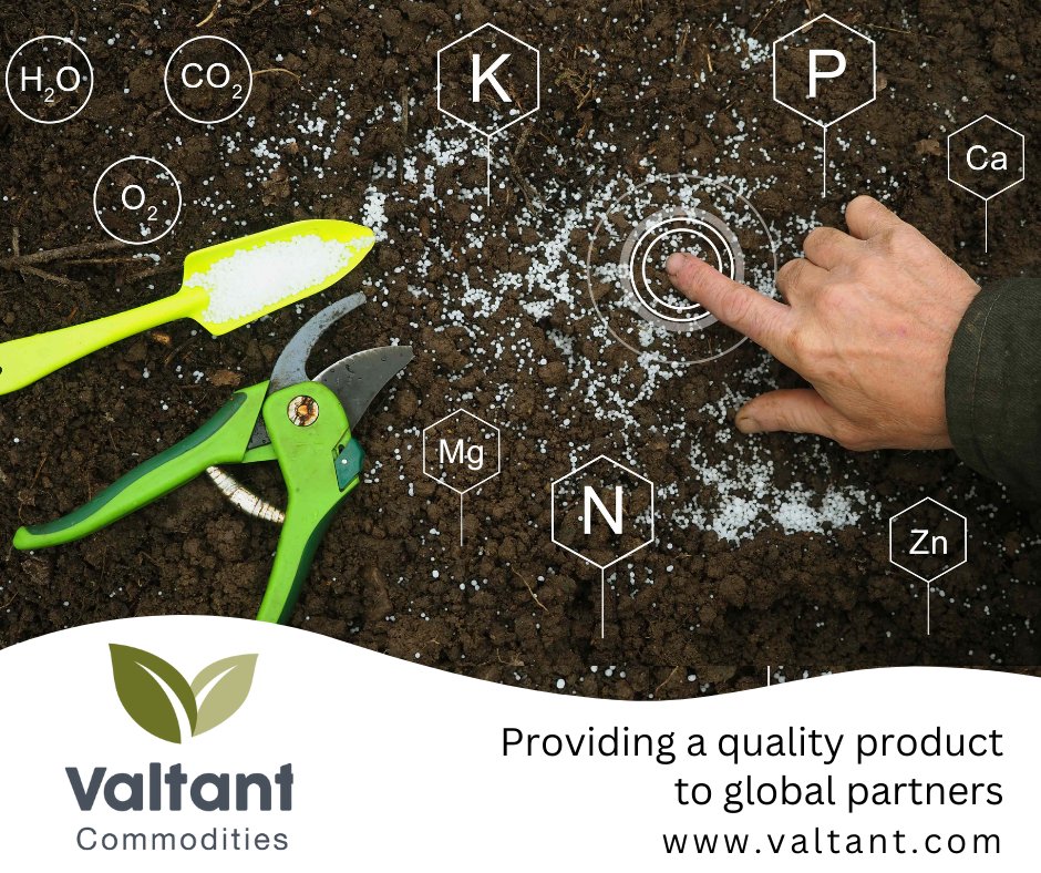 Valtant1's tweet photo. Nitrogen fertilisers are offered in three forms: ammonia, nitrate and urea and need to be used at the optimal time for successful crop management.

https://t.co/KBtOmFhqbX

#ecosystem #ecosystemloss #pollution  #climatechange #greenfertilisers #commodity #ammonia #nitrate #urea https://t.co/cv2q3nrew2