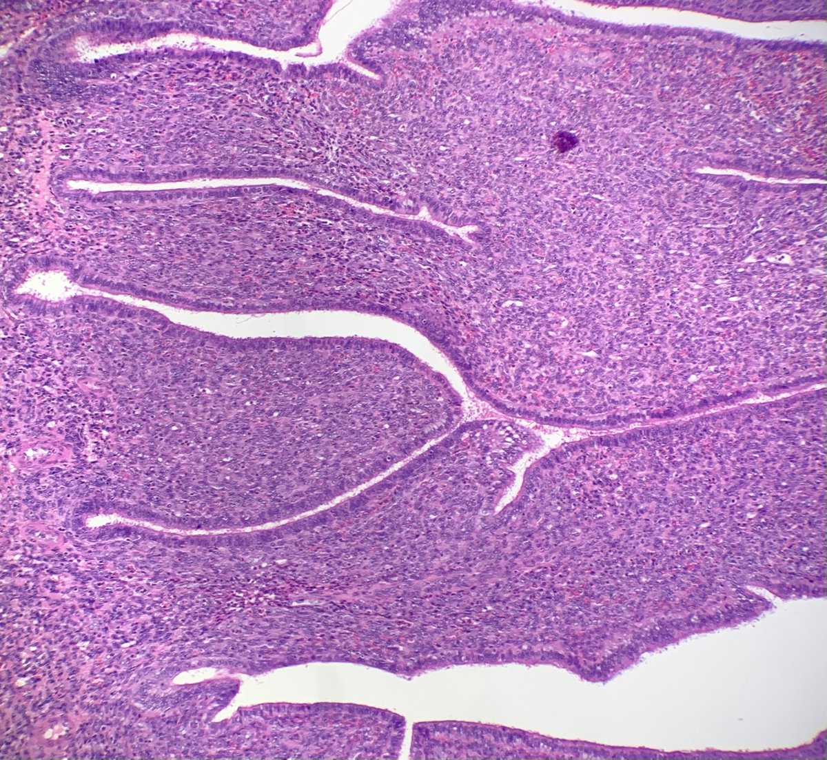 Janira Navarro tweet media