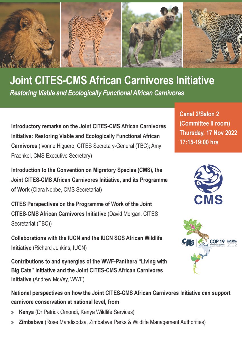 BonnConvention's tweet photo. 📢HAPPENING TODAY

Side event: "Joint CITES-CMS African Carnivores Initiative - Restoring Viable and Ecologically Functional African Carnivores" 

#CITESCoP19, 17:15 Panamá local time. 🦁🐾🌍

Check out the exciting Line-Up below – looking forward to seeing you there! https://t.co/hpV8JbmucC