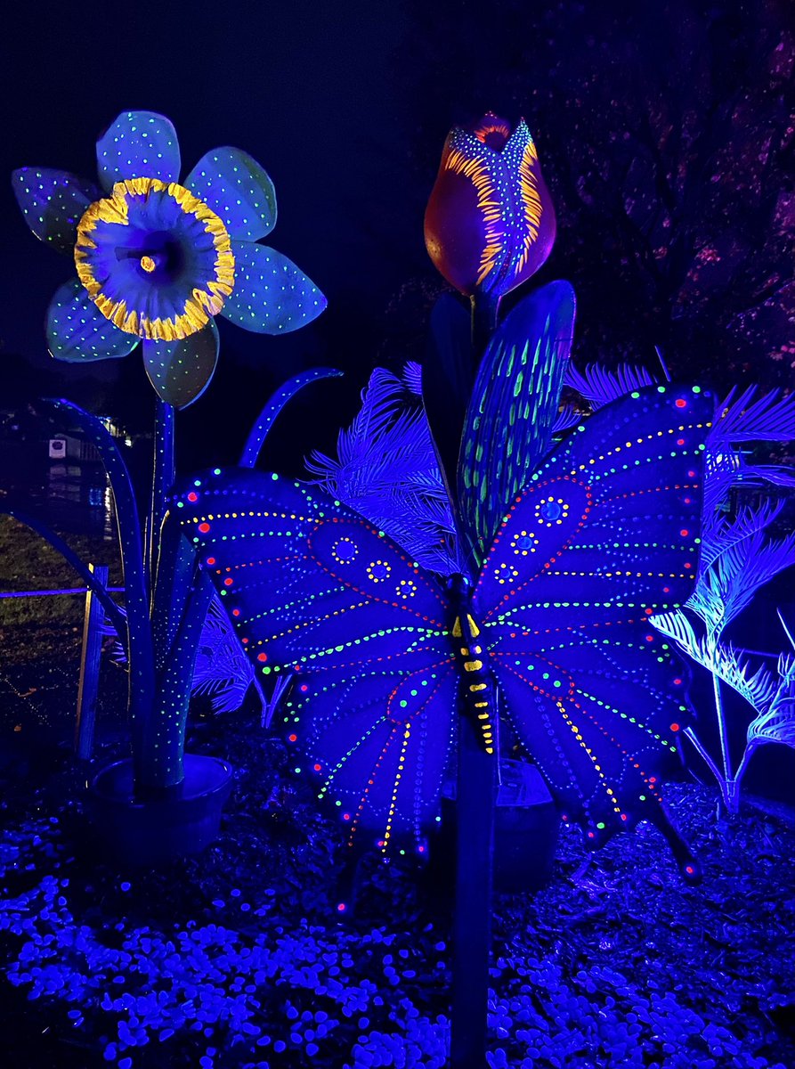 Bella and Dawn at Dear Mummy tweet media