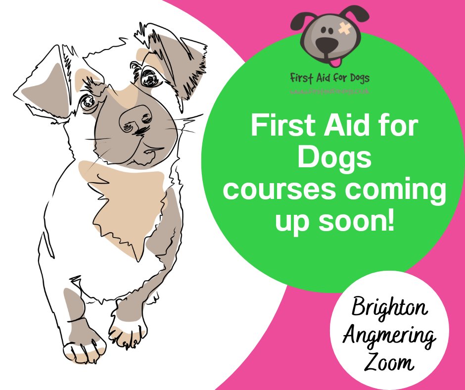 🐩FIRST AID FOR DOGS courses coming up soon in #Brighton &amp; #Zoom (#Angmering tba).
🎅After a Christmas present for a dog lover? Buy a voucher for one of our courses!

🌟Tue 6 Dec - Zoom
🌟Sat 10 Dec - Brighton and Hove
🌟Tue 28 Feb - Zoom
🌟Tue 18 Apr - Zoom
🌟Tue 6 Jun - Zoom
